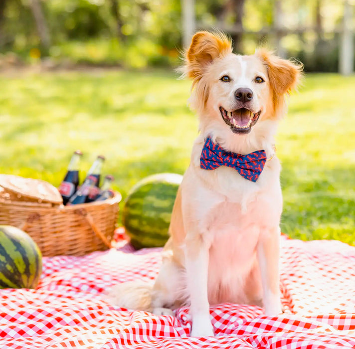 Foggy Dog Bow Tie